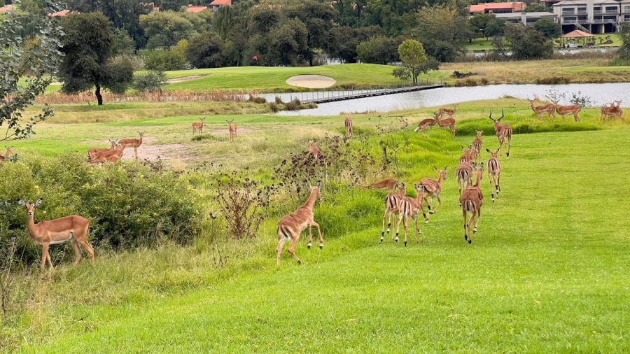 3 Bedroom Property for Sale in Heron Banks Golf Estate Free State